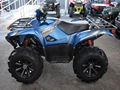 Brand New Grizzly Eps Se Utility ATV