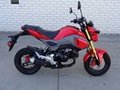 Colourful New Style Top Selling Grom Motorcycle