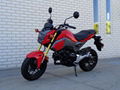 Colourful New Style Top Selling Grom Motorcycle