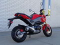 Colourful New Style Top Selling Grom Motorcycle