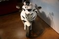 Best Selling GSX-R600 Motorcycle