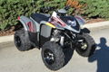 Factory Cheap Price Phoenix 200 ATV