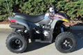 Factory Cheap Price Phoenix 200 ATV