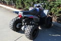 Factory Cheap Price Phoenix 200 ATV