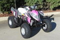 Wholesale New Outlaw 110 Mini ATV