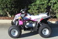 Wholesale New Outlaw 110 Mini ATV