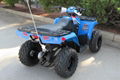 Cheap Discount Sportsman 110 EFI ATV