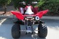 High Quality Best Selling Raptor 700R SE ATV