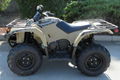 Hot Selling Kodiak 450 ATV