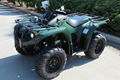 Hot Selling Kodiak 450 ATV