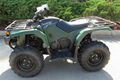 Hot Selling Kodiak 450 ATV