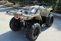 Hot Selling Kodiak 450 ATV