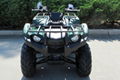 Hot Selling Kodiak 450 ATV