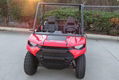 Factory Directly Sell Ranger 150 EFI UTV