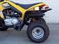 Cheap Discount DS 250 ATV