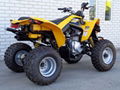 Cheap Discount DS 250 ATV