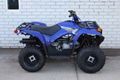 Factory Cheap Price Grizzly 90 ATV