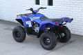 Factory Cheap Price Grizzly 90 ATV