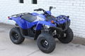 Factory Cheap Price Grizzly 90 ATV