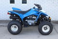 Factory Supplier Best Selling TRX250X ATV