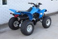 Factory Supplier Best Selling TRX250X ATV