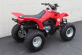 Factory Supplier Best Selling TRX250X ATV