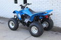 Factory Supplier Best Selling TRX250X ATV