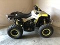 Wholesale Renegade Xxc 1000R Black, Grey & Sunburst Yellow ATV