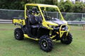 Cheap Discount Defender X mr HD10 UTV