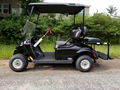 CHEAP PRICE FREEDOM TXT (PTV) GAS GOLF CAR