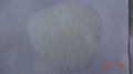 Diammonium Phosphate 1