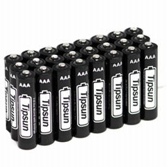 Longer lasting Power Tipsun 1.5V Size AAA Lithium Battery for flashlight 