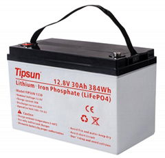 Tipsun Brand Lithium ion Battery Rechargeable 12V Battery 