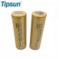 High durability 18650 Lithium ion battery for electric bike 5