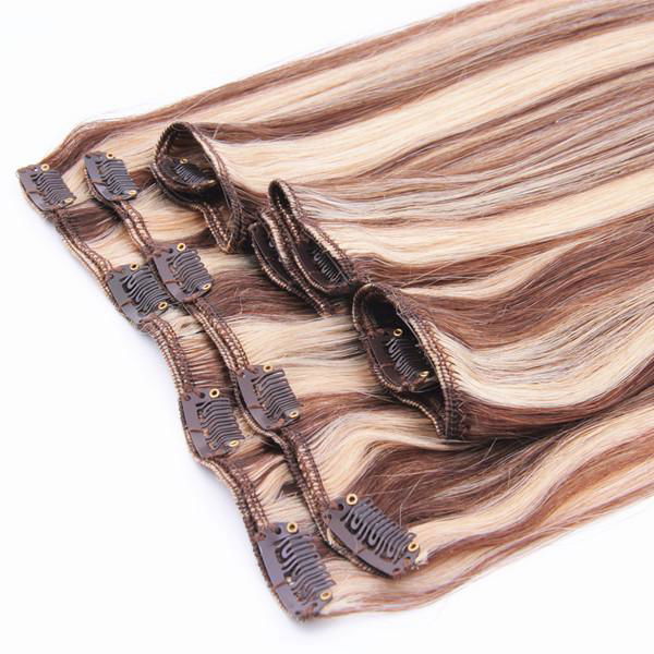 clip in human hair extensions 2