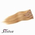 ombre clip in hair extensions