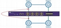 NetTAP® NPB NT-iMXTAP-24G-E Netwok Packet Broker  3