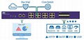 NetTAP® NPB NT-iMXTAP-24G-E Netwok Packet Broker  4