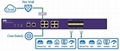 NetTAP® NPB NT-iMXTAP-16G-E Netwok Packet Broker 