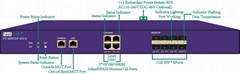 NetTAP® NPB NT-iMXTAP-12G-E Netwok Packet Broker 