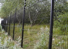 Welded Wire Mesh Fence