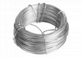 Electro Galvanized Wire