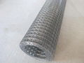 Hot Dipped Galvanized Welded Wire Mesh 1