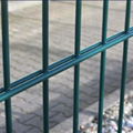 Double Wire Fence