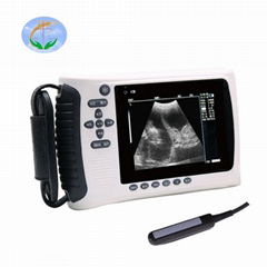 High quality color doppler ultrasound