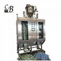 High speed Milk prepack filling packing machine 4