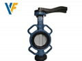 Cast iron butterfly valves for waste