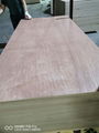 15mm多層膠合板包裝木箱定尺異形多層板 2