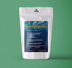 anaerobic bacteria to quick start up anaerobic digest reactor