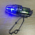 Deep Drop LED Fishing Light 2, 100 FT Green Red Flash Alarm Squid Lamp 4